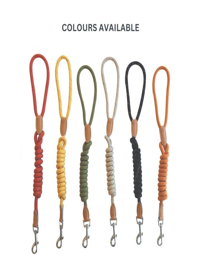 أم-بيتس طوق كلاب M-PETS Reflecto بتصميم عاكس عالي الوضوح، طوق قوي للحيوانات الأليفة مناسب للمشي الليلي والتدريب والركض والأنشطة الخارجية، متين، مزود بقفل أمان، ألوان متنوعة (عبوة من قطعة واحدة) - Image 4